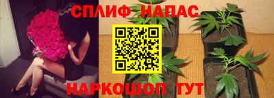 герыч Славянск-на-Кубани