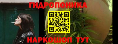 спайс Славгород